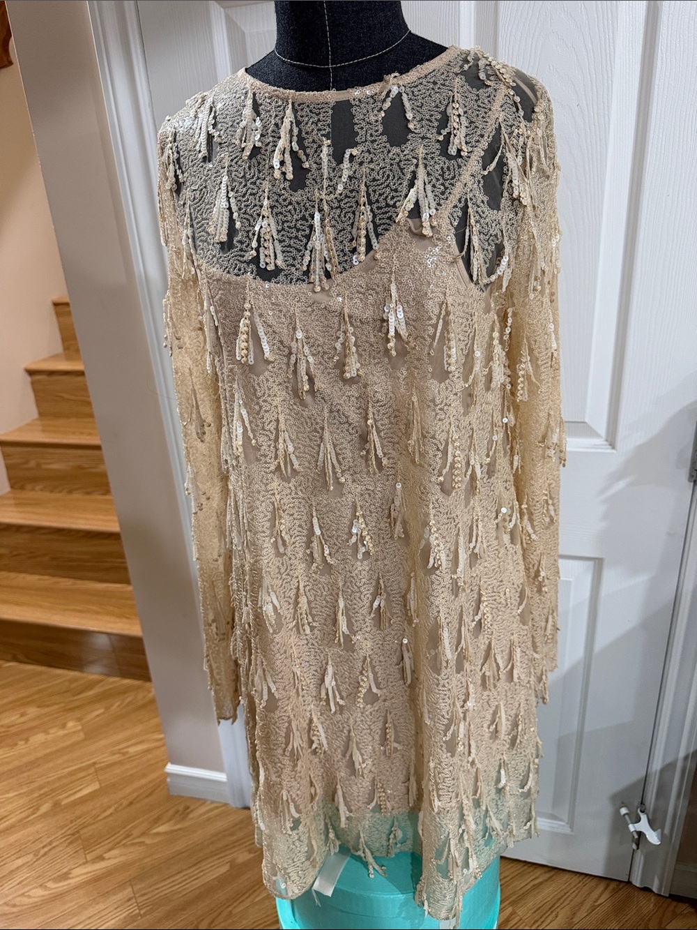 Zara Beaded Tassel Long Sleeve Sheer Dress Cover-Up - Beige